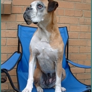 Amy