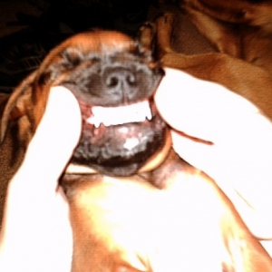 Layla and her 'forced smile'