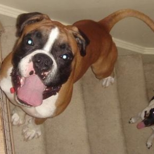 big bro, little bro