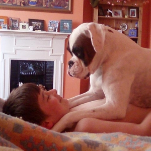 Harry and Luka playing