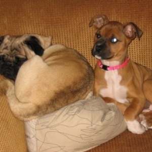 curling up