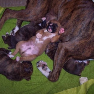 Too Cute!!