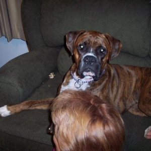 Big Brother