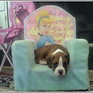 Princess Roxy