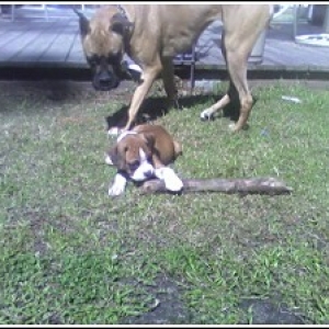 That's mine