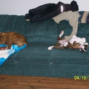 the_big_sleep