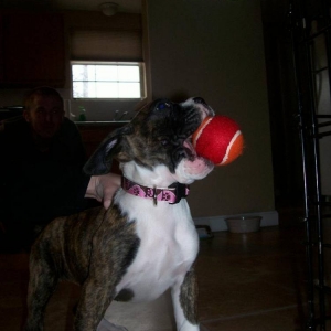Roxy