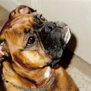 scan0001_resize