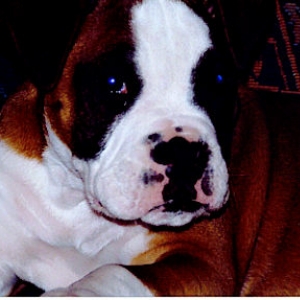 Our Little boy Kaiser