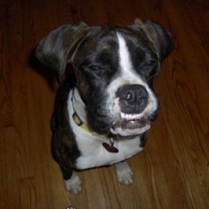 Mia smile