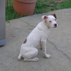 Pose for th camera, Bama!