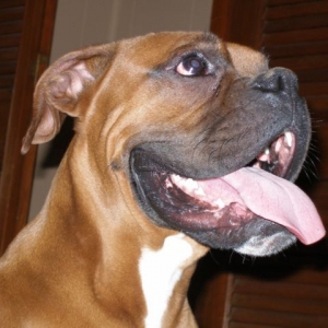 Is this a SMILE?!