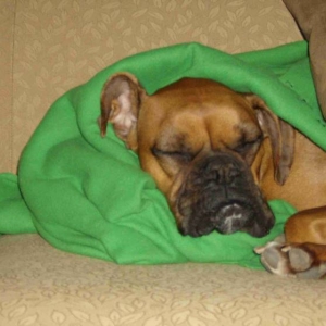 Sleepy girl