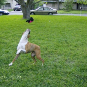 Just showin off!