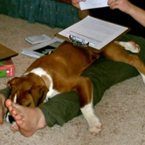 He's a mama's boy
