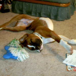 This doesn't look comfortable