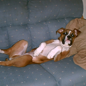 Total relaxation