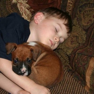 Lucy and Hunter napping