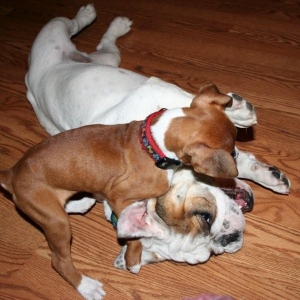 Playtime