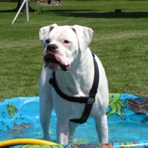 It's finally warm outside!