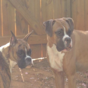 Was that a squirrel?