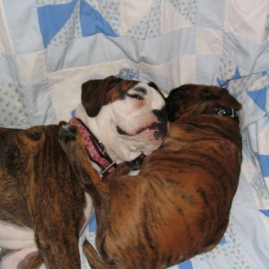 Winnie and Rasmus - Sleeping.