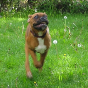 Zoom zoom zoom!!!