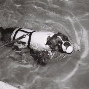 Theo Swimming