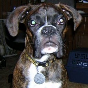 Zeke