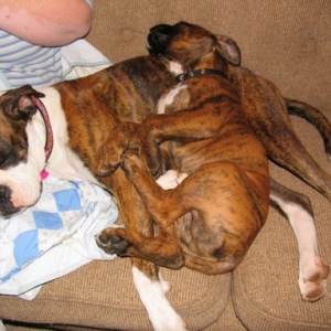 Winnie and Rasmus - Sleeping.