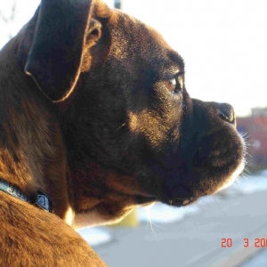 Looking out the window