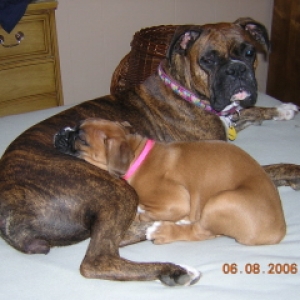 Baby Lily with Daisy (mom)