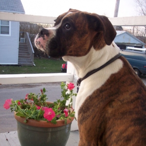 Portrait of my boy
