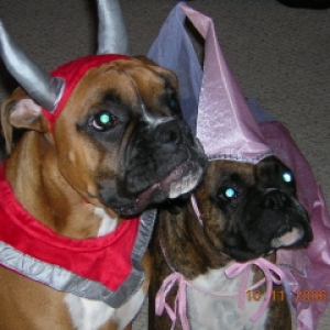 Lily and Daisy Trick or Treating