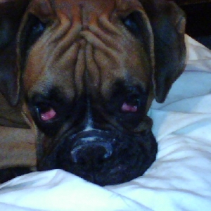 Lily on drugs