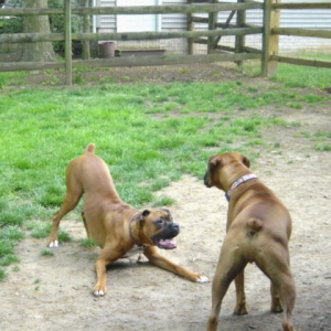 Let_s_Play_Rudy_