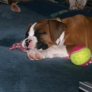 Sleeping!!