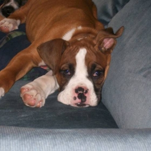 Tired Tonka