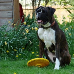 Having a Sit Down