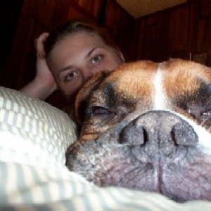 pillow hog