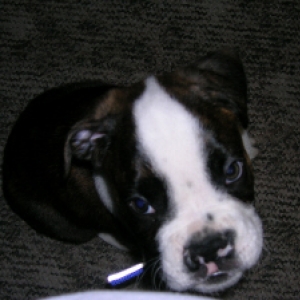 First Pics of Otto