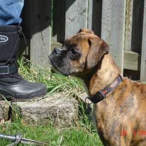 I can help in the garden!