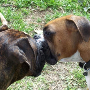 True Love