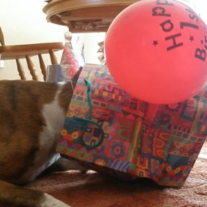 Where's my birthday present?