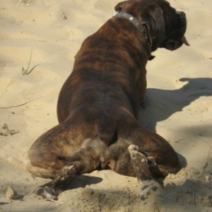 Cool sand on a hot day at the beach