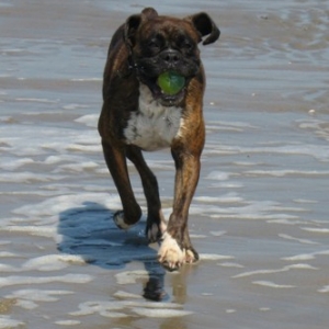 Me and my ball - it never gets old