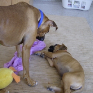 Its NOT nap time!!!