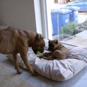 Will you play with me?