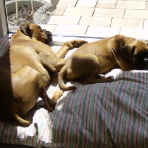 In the sun