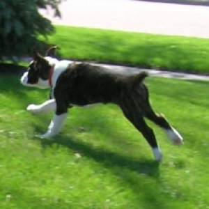 running midair shot